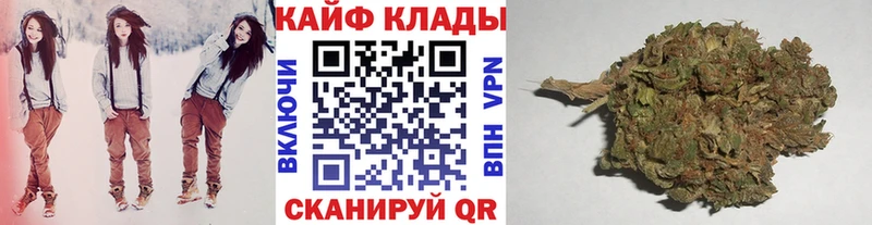 Купить наркоту Заводоуковск Альфа ПВП АМФЕТАМИН Галлюциногенные грибы Мефедрон