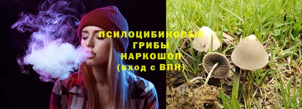 гидра Алексин