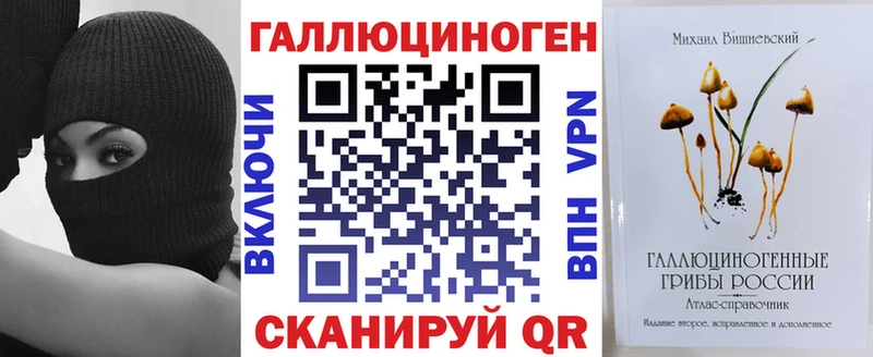 omg как войти  сколько стоит  Заводоуковск  Галлюциногенные грибы Cubensis 